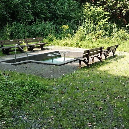Bergzeit In Langewiese - Appartment Landelijke Star วินเทอร์แบร์ก ภายนอก รูปภาพ